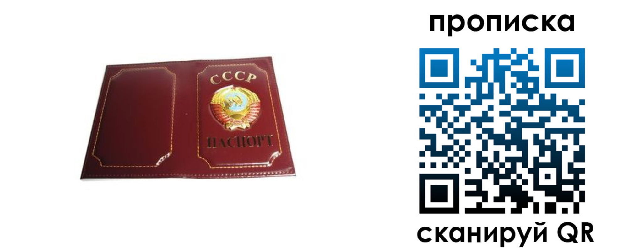 прописка гарантия в Жуковском
